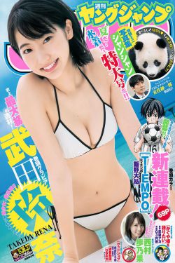 hp耽美
