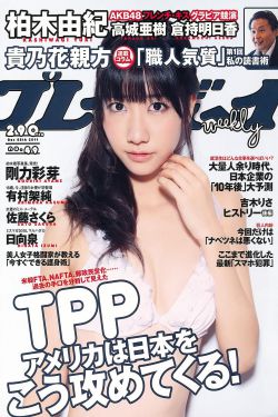 9277影视在线观看免费动漫