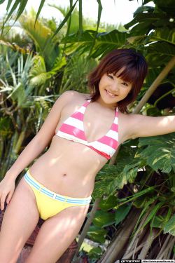 曰本一道本