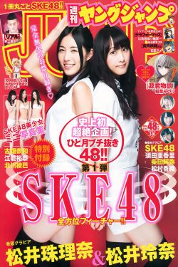 复仇女孩
