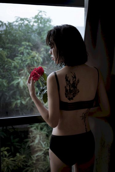 华丽的外出 在线